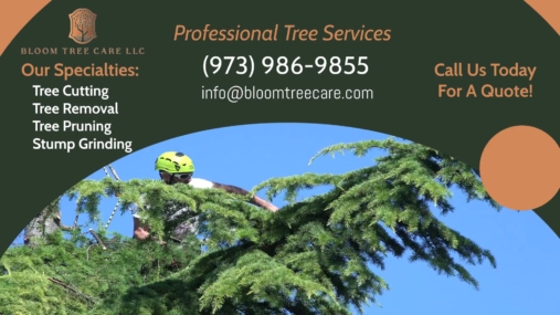 Bloom Tree Care Services