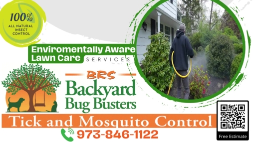 BRS Backyard Busters